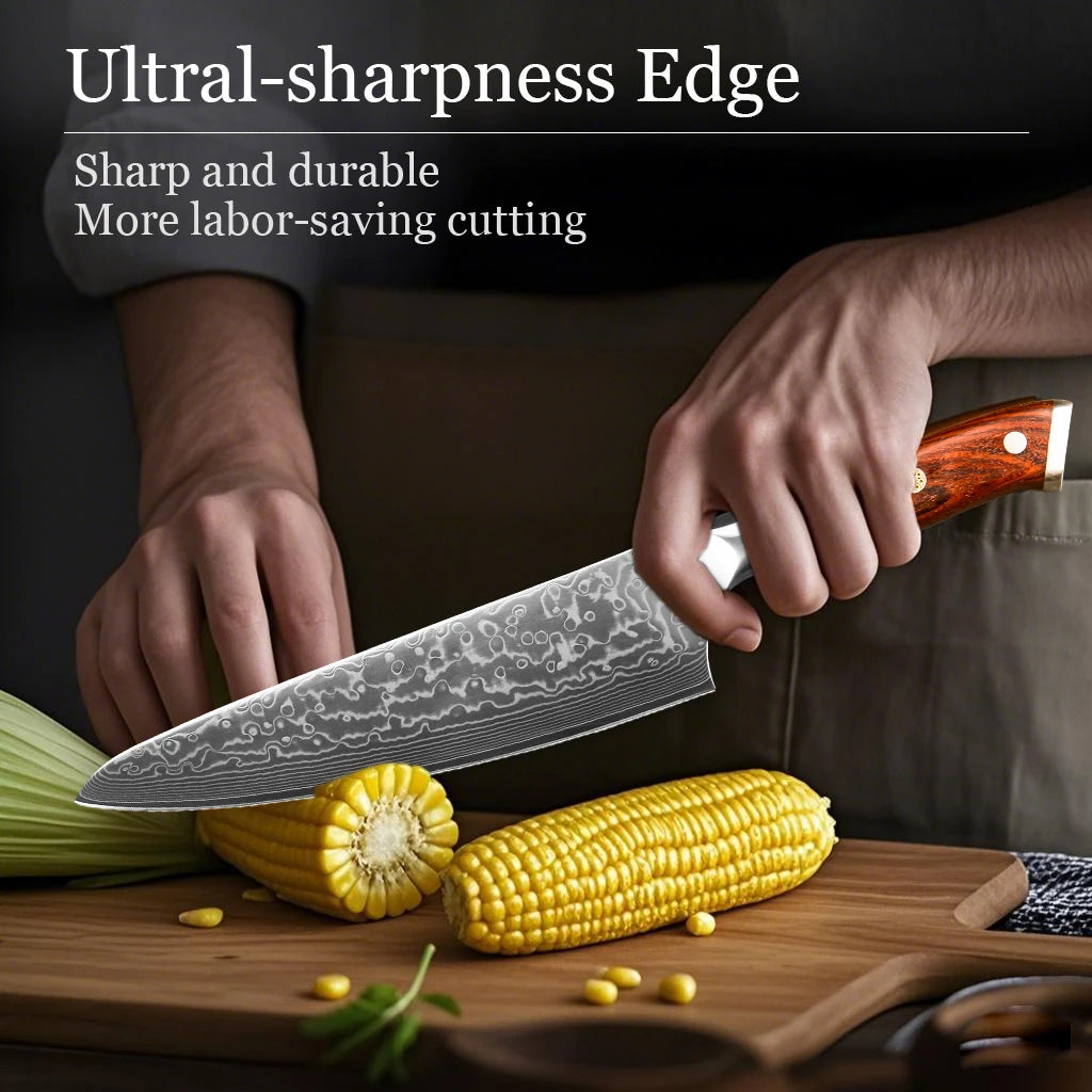 Professional Damascus Steel Japanese Chef Knife