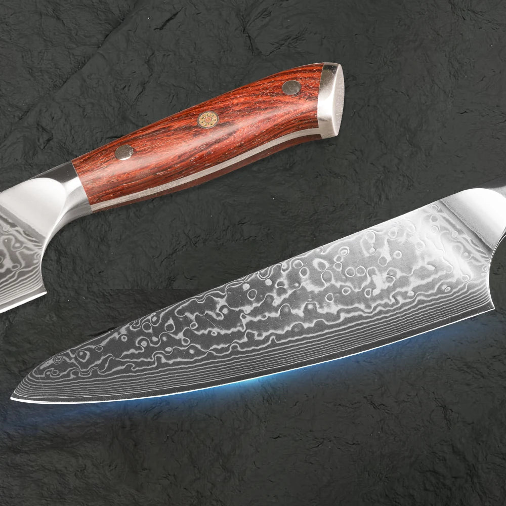 Professional Damascus Steel Japanese Chef Knife